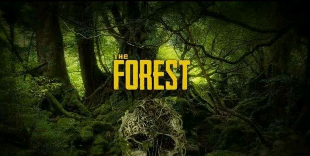 forest安卓破译版forestpack821中文破解版下载