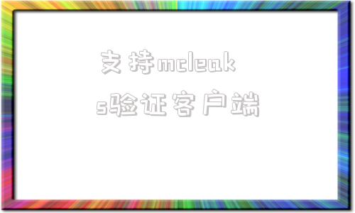 支持mcleaks验证客户端visualstudio安装勾选