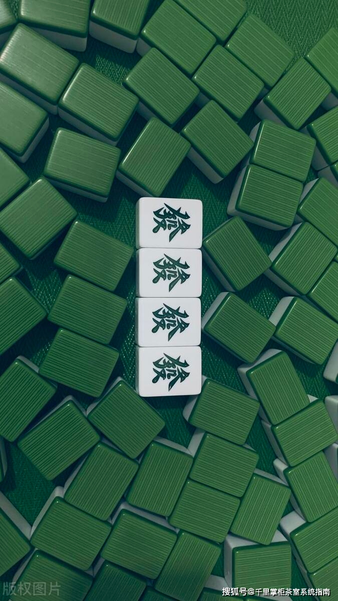 桐乡飘花麻将手机版桐乡游戏中心桐乡麻将-第2张图片-太平洋在线下载