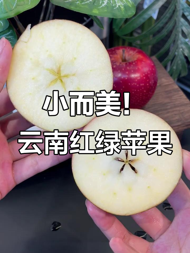 昭通版小苹果歌曲(歌曲小苹果视频)-第4张图片-有道翻译官网