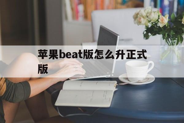 苹果beat版怎么升正式版(ios beats如何固件升级)-第7张图片-有道翻译官网