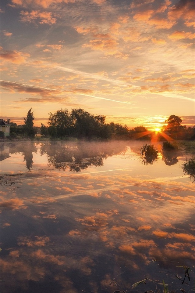日出软件苹果版下载(日出直播网站苹果下载)