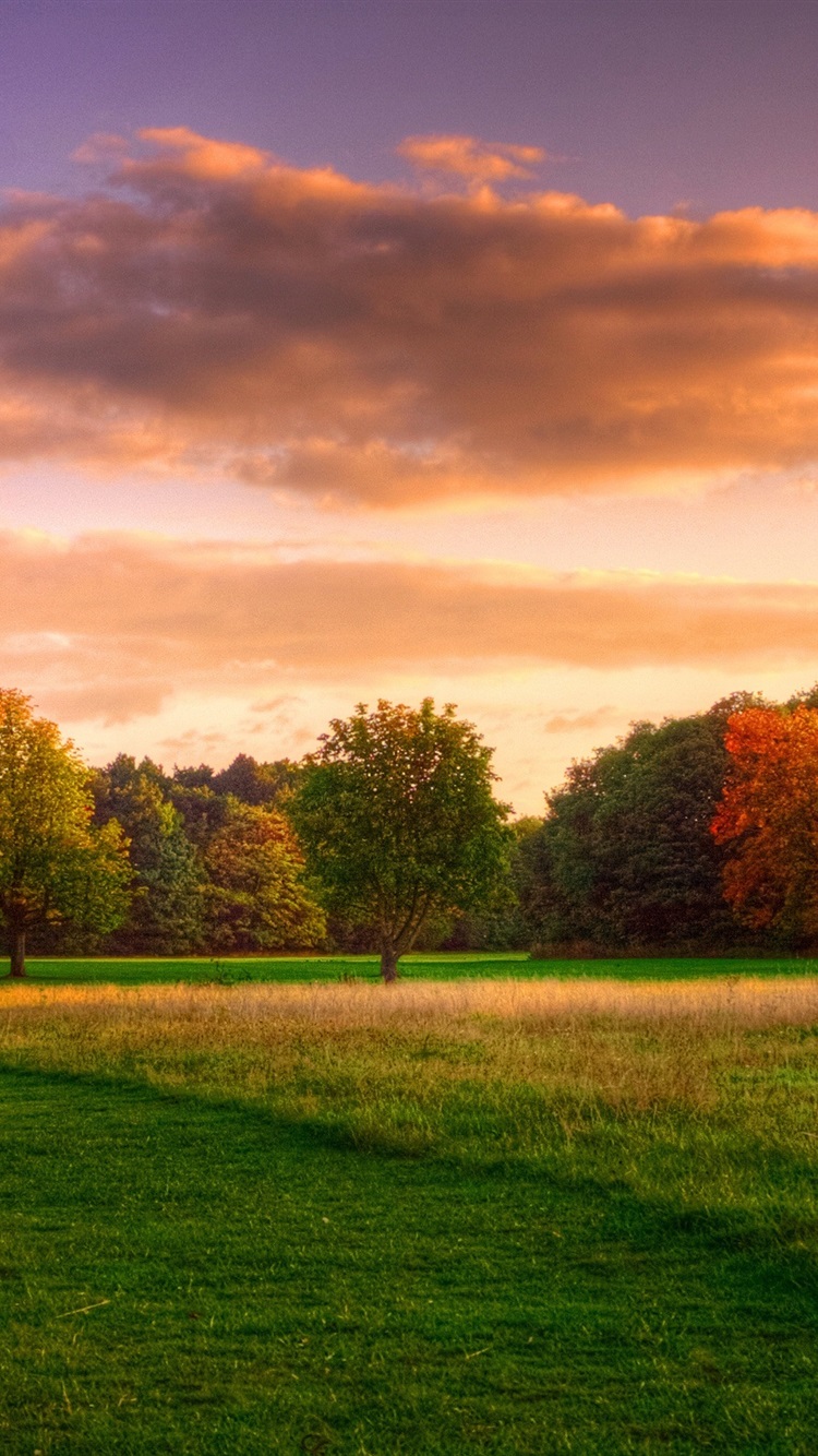 日出软件苹果版下载(日出直播网站苹果下载)-第10张图片-有道翻译官网